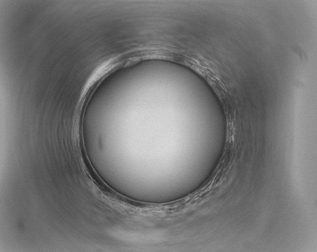 X0000116160004200912071334