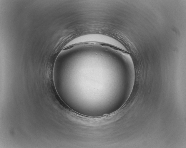 X0000116160035200912071333