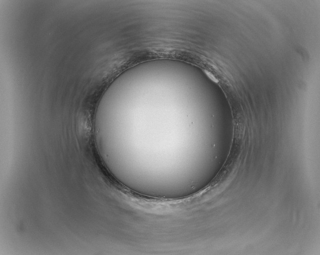 X0000116160040200912071333