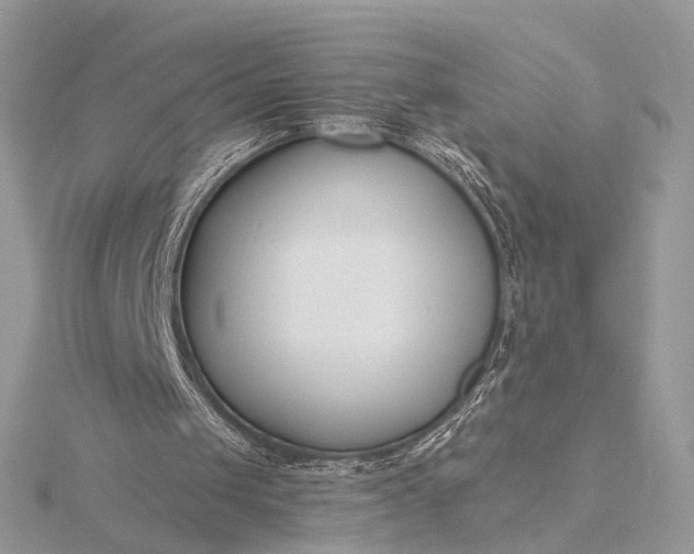 X0000116160049200912071333