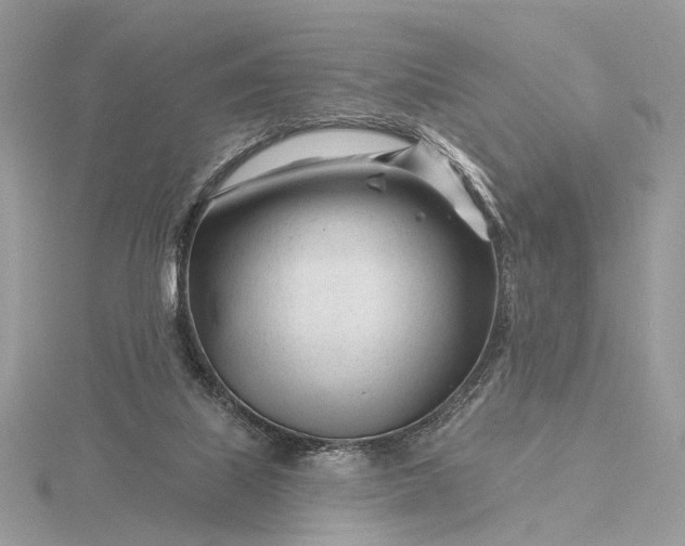 X0000116160067200912071333