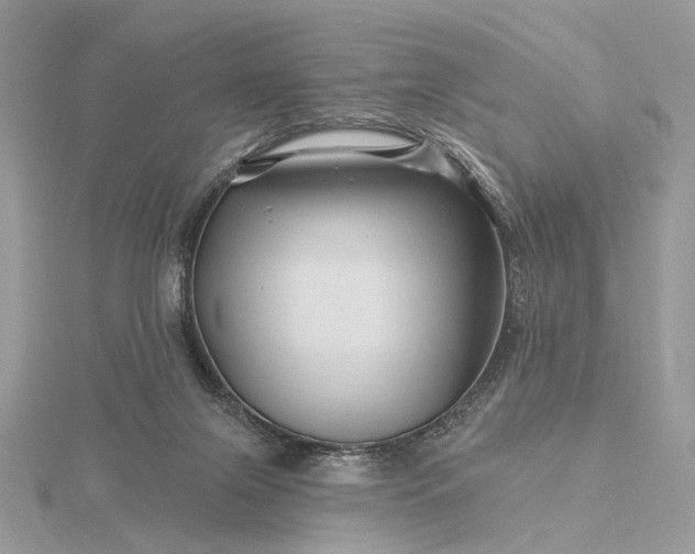 X0000116160071200912071333