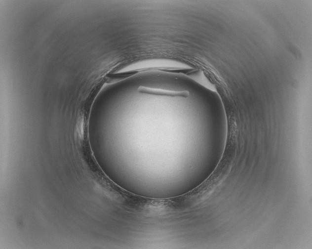 X0000116160076200912071333