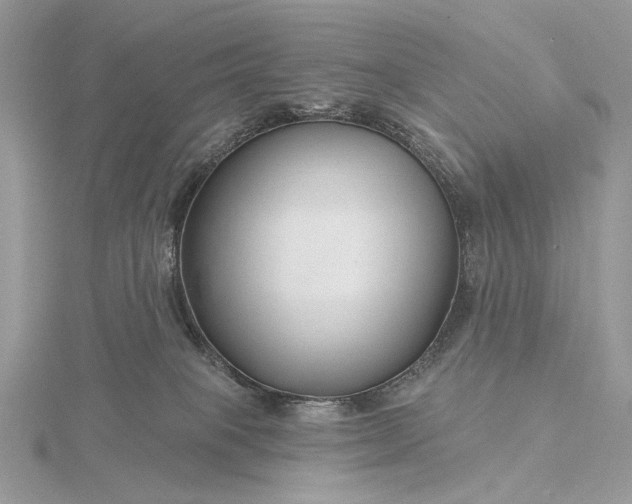 X0000116160085200912071333