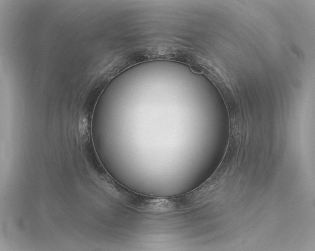 X0000116160087200912071333