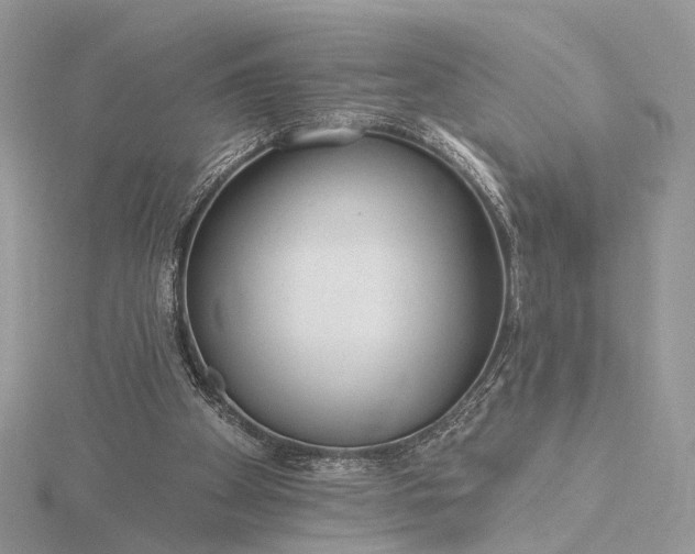 X0000116160105200912071332