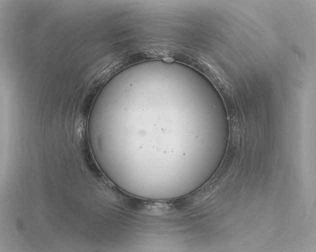 X0000116160125200912071332