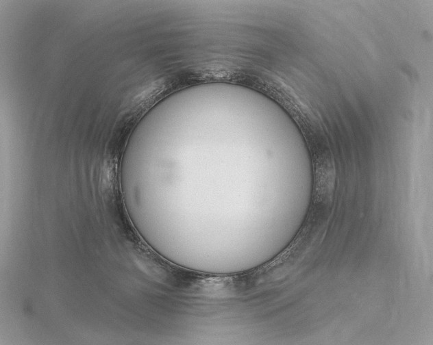 X0000116160126200912071332