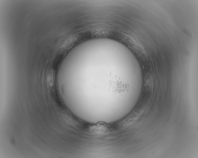 X0000116160133200912071332