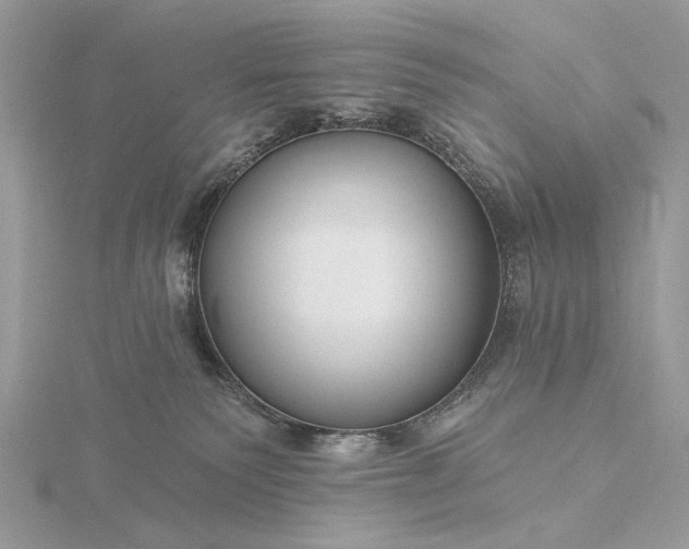 X0000116160135200912071332