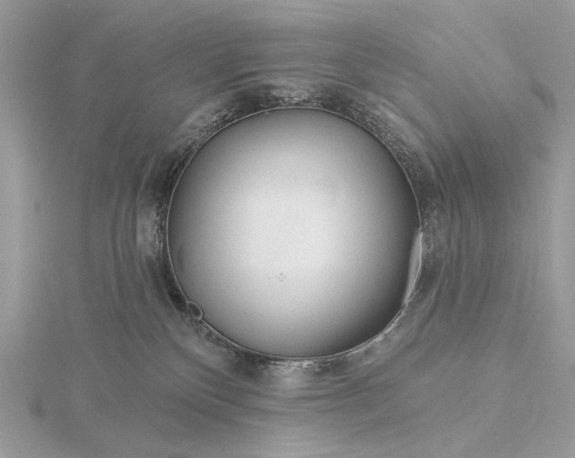 X0000116160136200912071332
