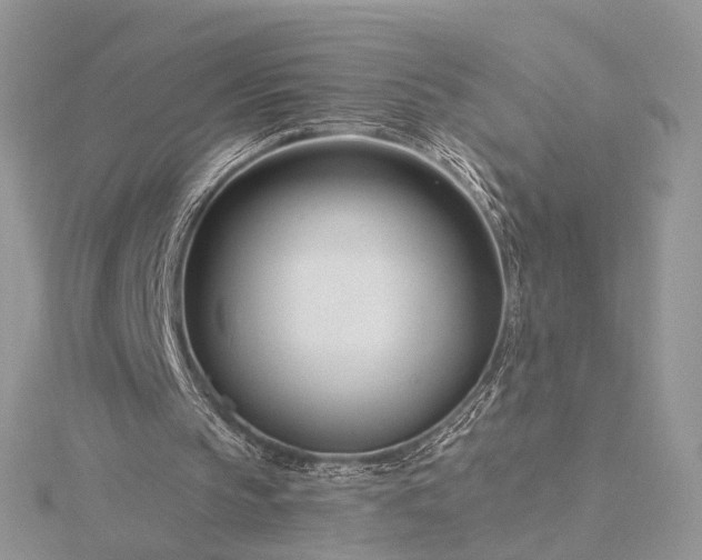 X0000116160145200912071331