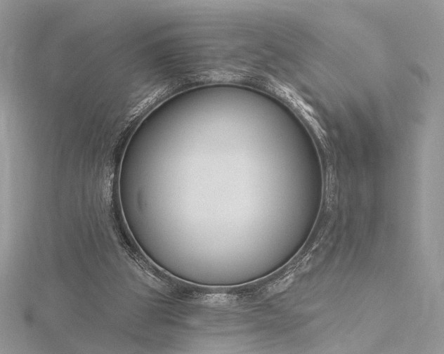 X0000116160153200912071331