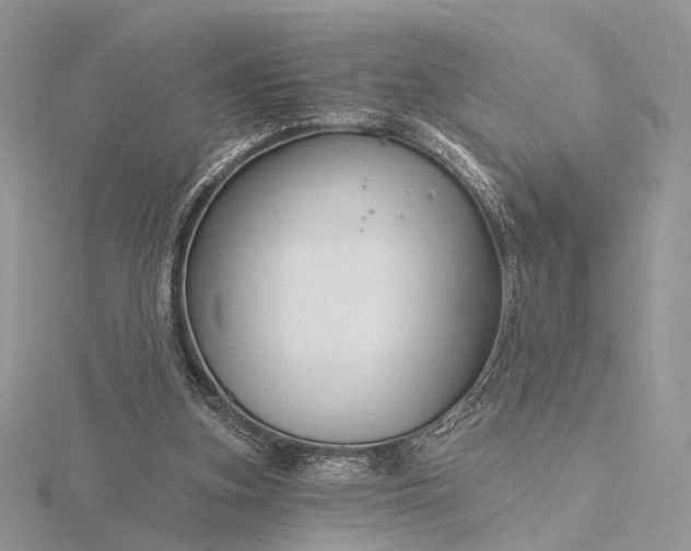 X0000116160155200912071331