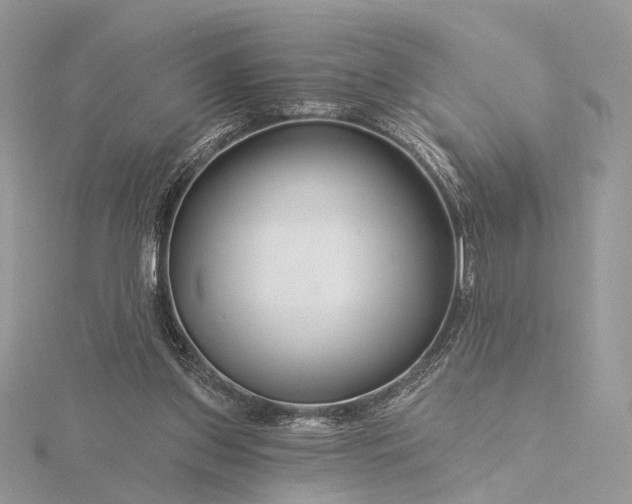 X0000116160157200912071331