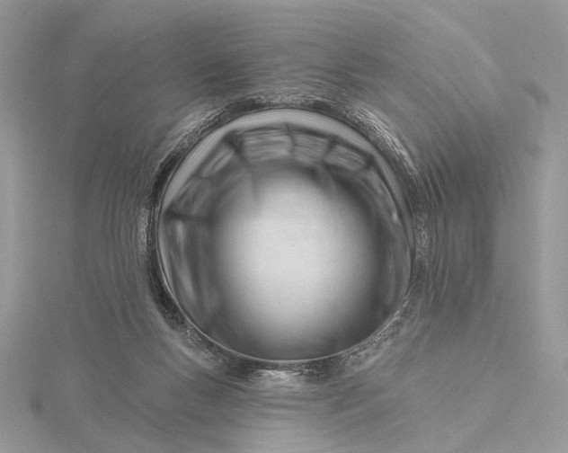 X0000116160167200912071332