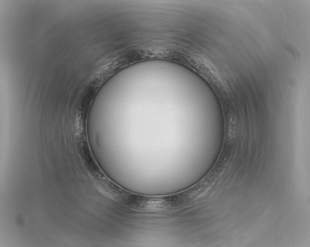 X0000116160173200912071332
