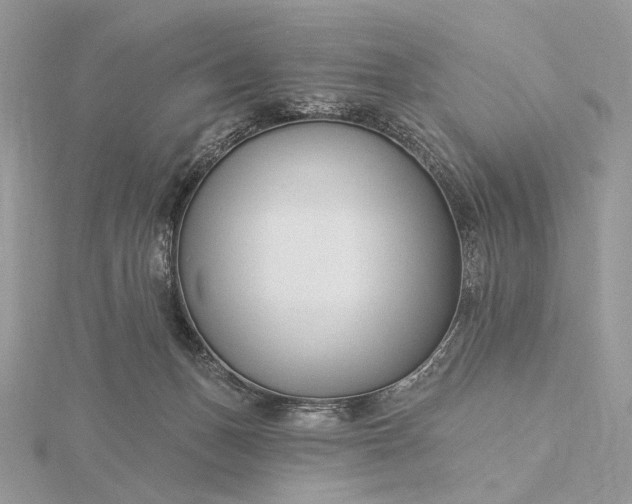 X0000116160175200912071332