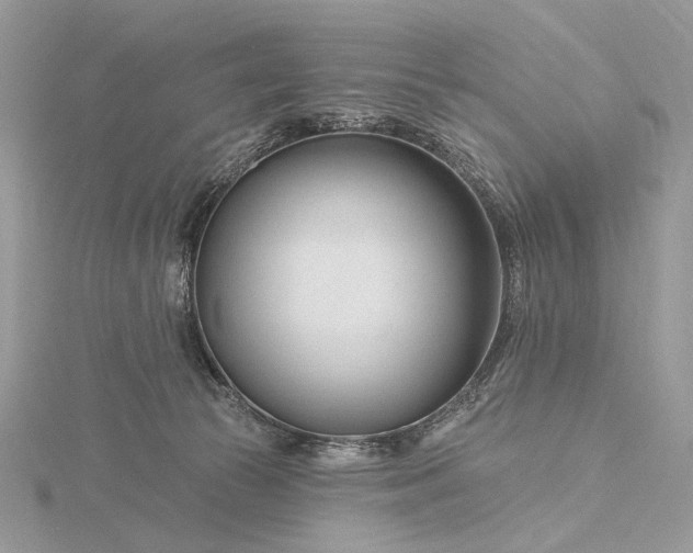 X0000116160177200912071332