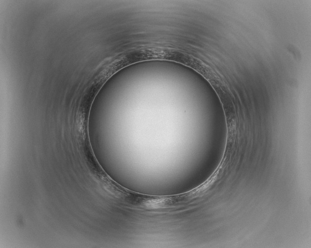 X0000116160178200912071332