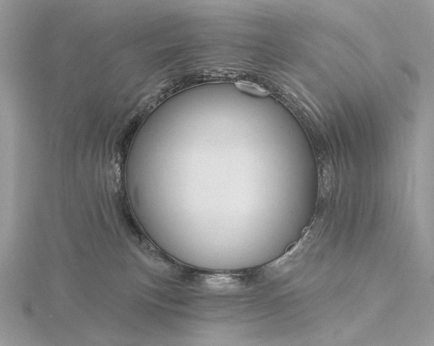 X0000116160183200912071332