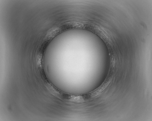 X0000116160185200912071332