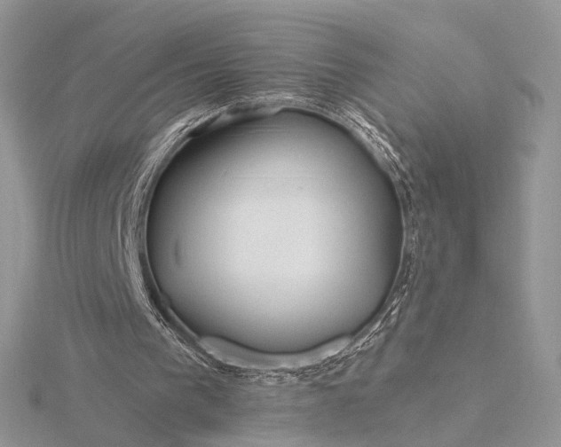 X0000116160193200912071331