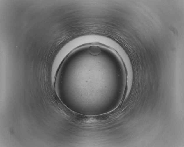 X0000116160219200912071331