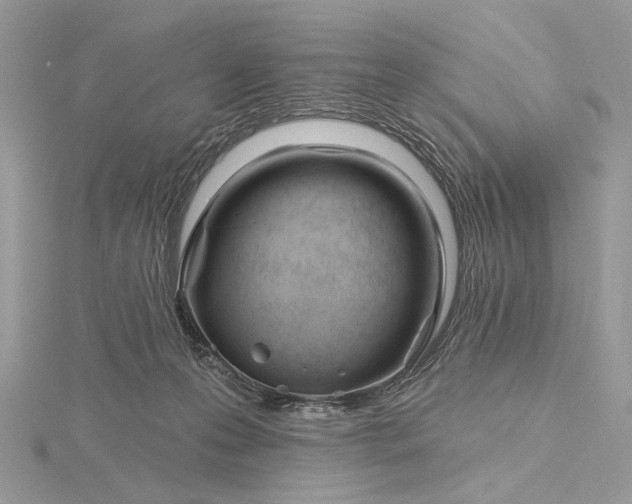 X0000116160223200912071331
