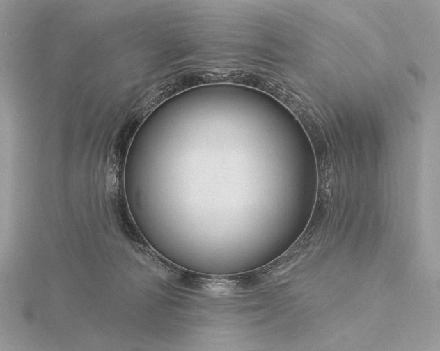 X0000116160226200912071331