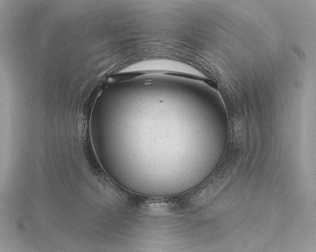 X0000116160228200912071331