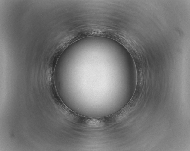 X0000116160230200912071331