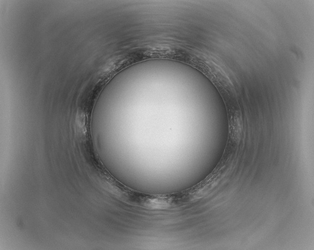 X0000116160232200912071331