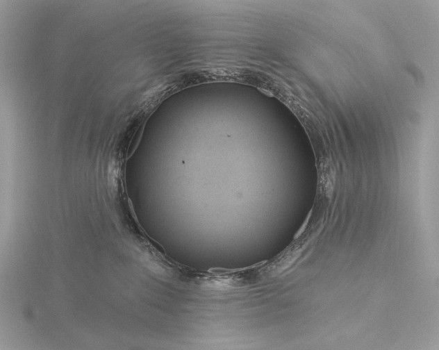 X0000116160235200912071331