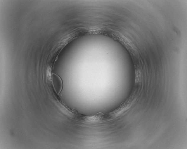 X0000116160238200912071331
