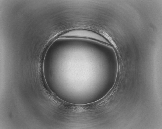 X0000116160249200912071330