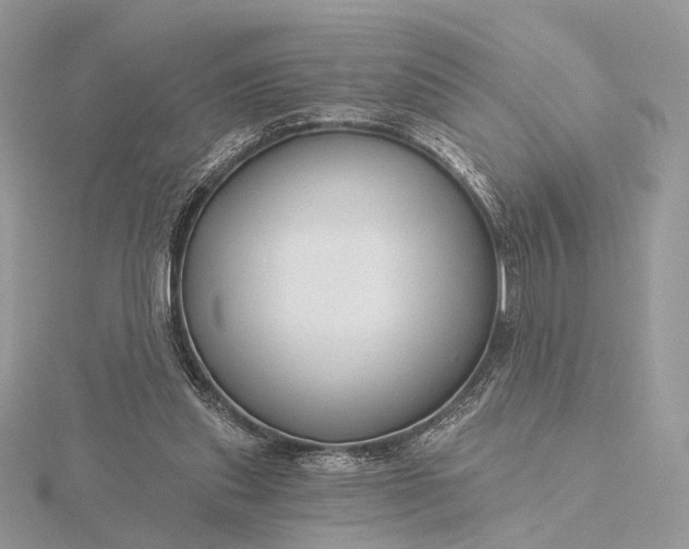 X0000116160253200912071330