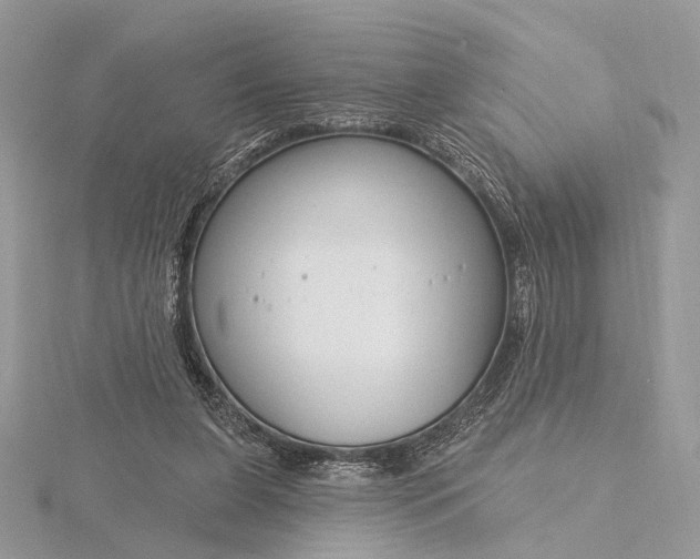 X0000116160255200912071330