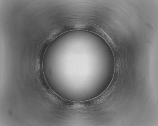 X0000116160257200912071330