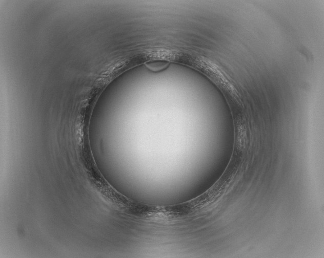 X0000116160259200912071330