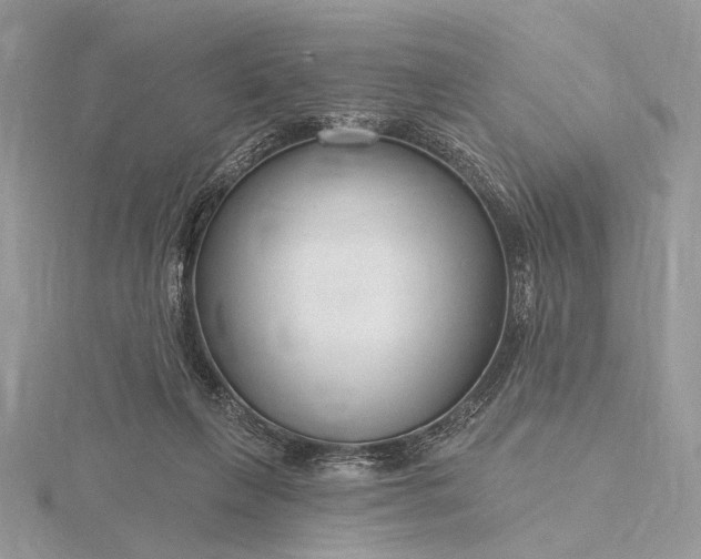 X0000116160263200912071330