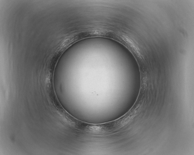 X0000116160265200912071330