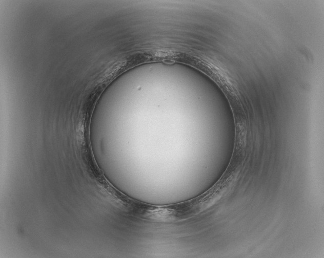 X0000116160269200912071330