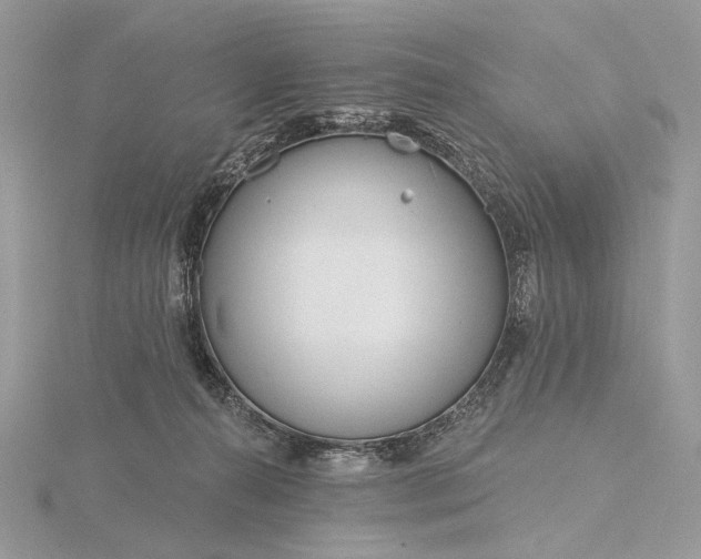 X0000116160272200912071330