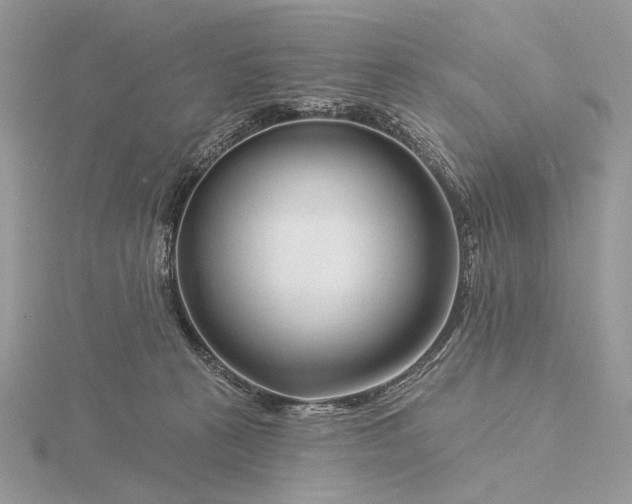 X0000116160273200912071330