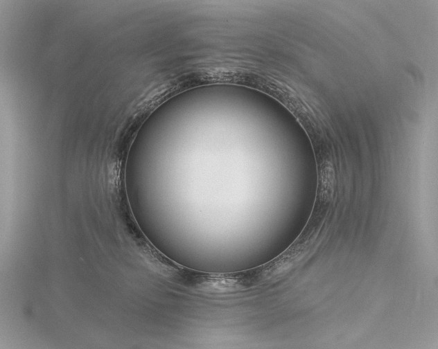 X0000116160278200912071331