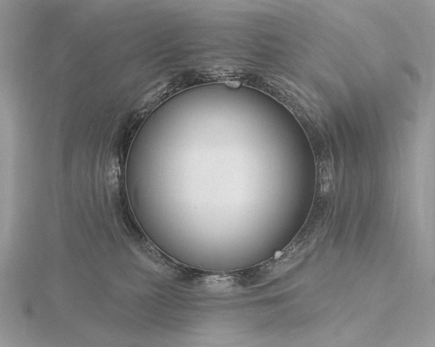 X0000116160279200912071331