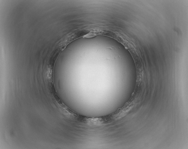 X0000116160281200912071331