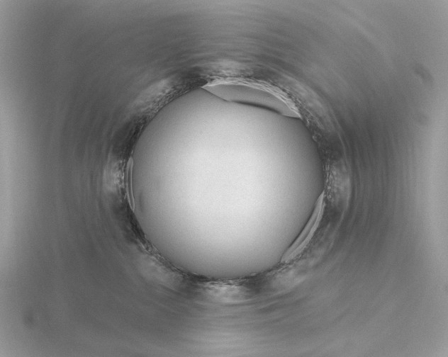 X0000116160284200912071331