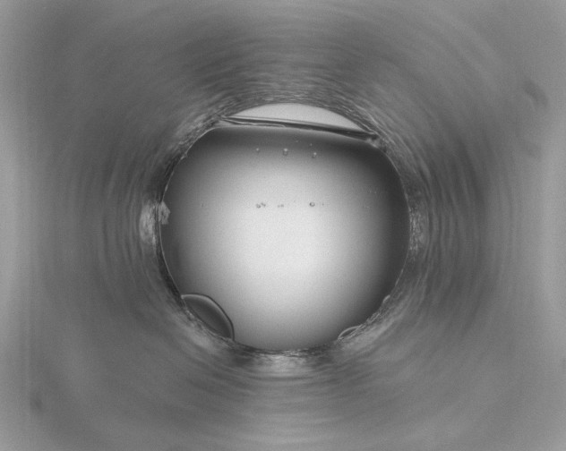 X0000116160286200912071331
